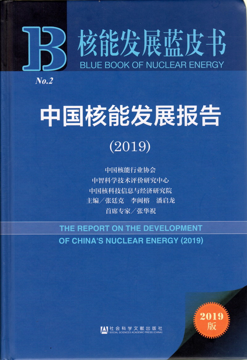 嗯啊好大好爽啊啊啊啊啊啊高潮喷水视频网站中国核能发展报告（2019）